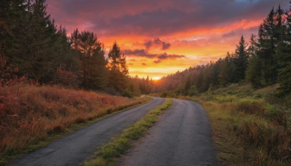 outdoors,sky,cloud,tree,no humans,cloudy sky,grass,nature,scenery,forest,sunset,mountain,road,bush,evening,landscape,orange sky,path,red sky,sun,twilight,pine tree