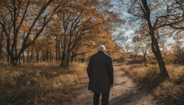 solo,long sleeves,1boy,standing,jacket,male focus,outdoors,day,pants,from behind,tree,coat,black jacket,black pants,grass,nature,scenery,forest,hand in pocket,black coat,facing away,bald,white hair,leaf,road,autumn leaves,autumn