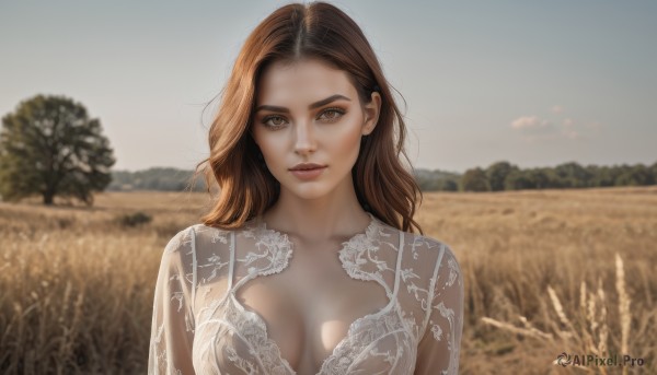 A glimpse of a female in a lush day