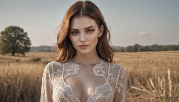 1girl,solo,long hair,breasts,looking at viewer,brown hair,dress,cleavage,brown eyes,medium breasts,closed mouth,collarbone,upper body,outdoors,sky,day,white dress,blurry,tree,lips,see-through,depth of field,blurry background,forehead,realistic,straight-on,parted lips,blue sky,breasts apart,field