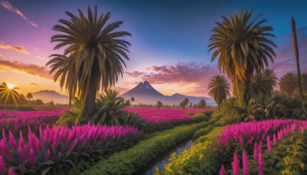 The majestic beauty of a unique subject set within a calm sunset outdoors