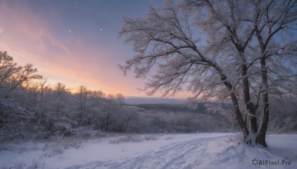 outdoors,sky,cloud,tree,no humans,grass,star (sky),nature,scenery,snow,forest,starry sky,sunset,winter,bare tree,twilight,evening,gradient sky,sunrise,blue sky,plant,horizon,landscape