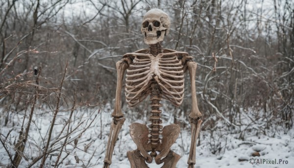 solo,outdoors,tree,no humans,nature,scenery,snow,forest,skull,snowing,winter,ribs,skeleton,bare tree,bone,standing,signature,robot,horror (theme)