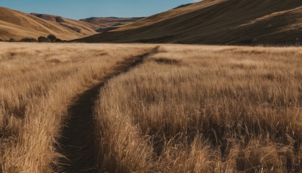 outdoors,sky,day,blue sky,no humans,grass,scenery,mountain,sand,field,landscape,desert,signature,realistic,brown theme