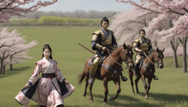 1girl,looking at viewer,black hair,long sleeves,1boy,hat,holding,weapon,outdoors,japanese clothes,multiple boys,day,sword,2boys,kimono,hair bun,holding weapon,armor,black eyes,tree,sash,single hair bun,grass,polearm,cherry blossoms,shoulder armor,riding,horse,topknot,horseback riding,saddle,facial hair,katana,scenery,japanese armor,field,samurai,naginata