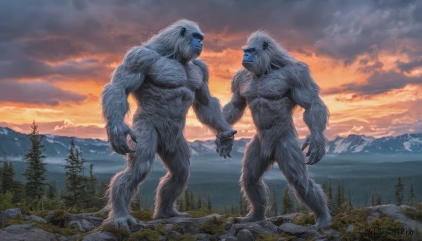 standing,tail,male focus,outdoors,multiple boys,sky,cloud,2boys,looking at another,tree,no humans,muscular,abs,cloudy sky,crossover,muscular male,nature,scenery,claws,furry,eye contact,forest,sunset,monster,mountain,furry male,giant,kaijuu,nude,realistic,bear