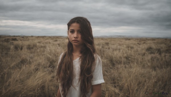 1girl,solo,long hair,looking at viewer,brown hair,shirt,brown eyes,white shirt,upper body,short sleeves,outdoors,sky,cloud,dark skin,lips,wavy hair,cloudy sky,t-shirt,realistic,field,grey sky,day