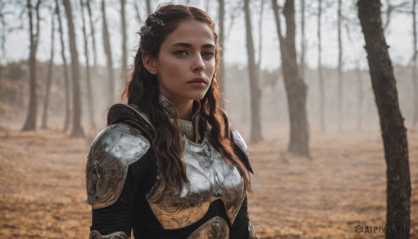 1girl,solo,long hair,looking at viewer,brown hair,hair ornament,brown eyes,jewelry,upper body,outdoors,day,necklace,armor,blurry,tree,lips,blurry background,shoulder armor,nature,forest,freckles,pauldrons,breastplate,realistic,chainmail