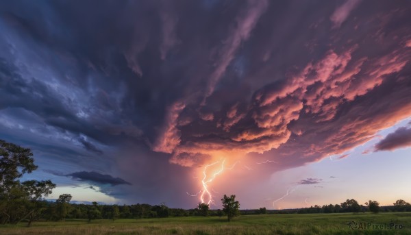 outdoors,sky,cloud,tree,no humans,cloudy sky,grass,nature,scenery,forest,sunset,electricity,lightning,dutch angle,bird,fantasy,landscape