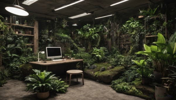 A indoors amidst a idyllic scenery