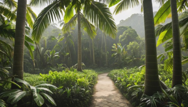 outdoors,sky,day,tree,dutch angle,no humans,leaf,sunlight,grass,plant,nature,scenery,forest,palm tree,bush,green theme,mountain,road,path