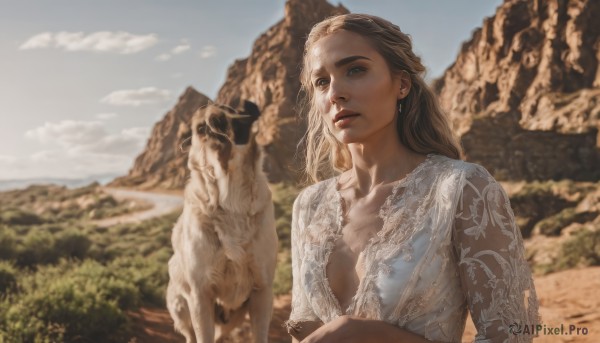 1girl,solo,long hair,breasts,blue eyes,blonde hair,brown hair,jewelry,collarbone,upper body,earrings,small breasts,outdoors,parted lips,sky,day,cloud,blurry,blue sky,lips,blurry background,animal,looking away,nature,mountain,realistic,nose,looking at viewer,dress,cleavage,medium breasts,no bra,sunlight,cloudy sky,dog,fine art parody,plunging neckline,mole on cheek