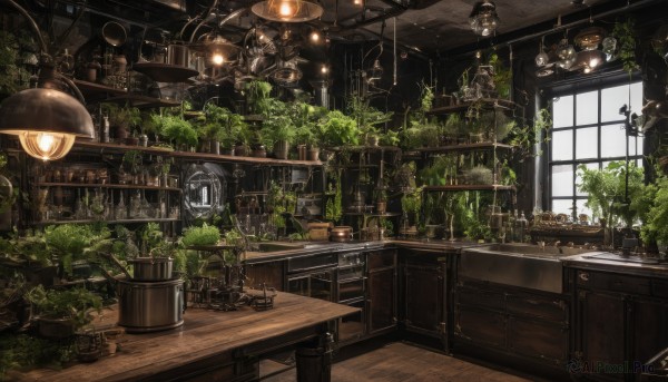 indoors,tree,cup,no humans,window,chair,table,sunlight,bottle,plant,scenery,stairs,fantasy,potted plant,lamp,stool,shelf,barrel,loaded interior,day,artist name,signature,book,desk,bookshelf,cabinet,chandelier,overgrown