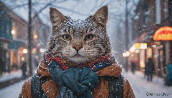 solo, looking at viewer, upper body, outdoors, scarf, blurry, tree, no humans, depth of field, blurry background, animal, cat, building, snow, snowing, animal focus, winter, bare tree