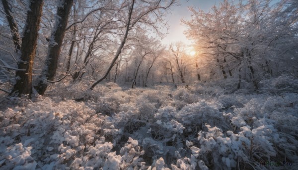 outdoors, sky, tree, no humans, nature, scenery, snow, forest, bare tree