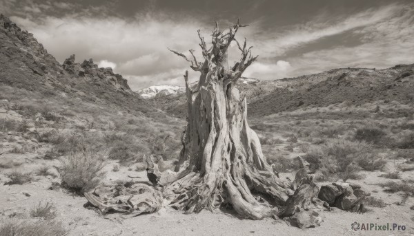 monochrome,greyscale,outdoors,sky,cloud,tree,no humans,traditional media,cloudy sky,grass,scenery,rock,mountain,antlers,landscape,cliff