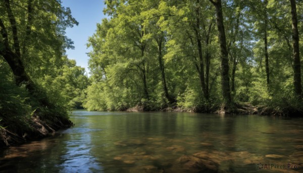 outdoors,sky,day,cloud,water,tree,blue sky,no humans,sunlight,grass,nature,scenery,forest,reflection,river,reflective water,plant,landscape,lake