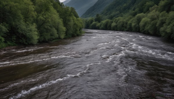 The serene presence of a landscape in a lush day