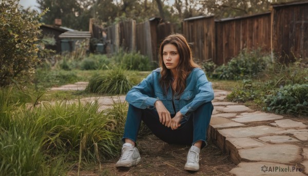 1girl,solo,long hair,looking at viewer,brown hair,long sleeves,brown eyes,sitting,closed mouth,jacket,outdoors,shoes,day,pants,blurry,tree,lips,looking to the side,white footwear,grass,plant,denim,blue jacket,building,sneakers,jeans,realistic,fence,bush,denim jacket,scenery,on ground