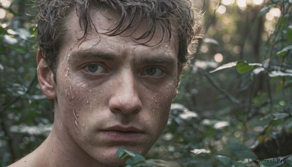 solo,looking at viewer,short hair,brown hair,black hair,1boy,closed mouth,male focus,outdoors,day,blurry,lips,wet,grey eyes,depth of field,blurry background,leaf,plant,messy hair,portrait,nature,close-up,freckles,realistic,wet hair,brown eyes,sunlight,dappled sunlight,mole on cheek