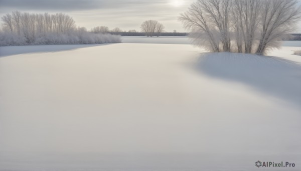 HQ,outdoors,sky,cloud,water,tree,no humans,grass,nature,scenery,reflection,road,winter,bare tree,river,lake,fog,ocean,cloudy sky,ground vehicle,motor vehicle,snow,forest,sun,horizon,grey sky