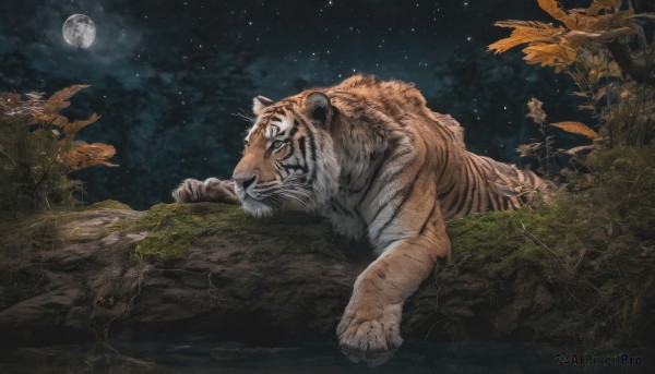 A glimpse of a tiger in a ethereal outdoors