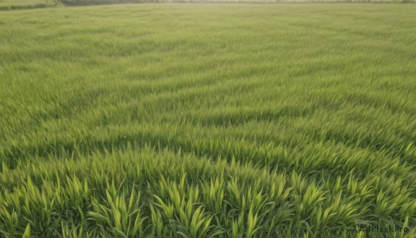 outdoors,sky,day,no humans,traditional media,grass,nature,scenery,field,green theme