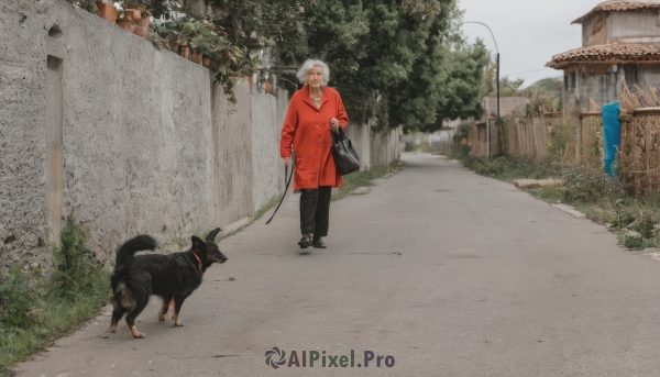 solo,short hair,shirt,long sleeves,1boy,holding,standing,jacket,white hair,grey hair,male focus,outdoors,shoes,day,pants,bag,black footwear,collar,tree,coat,facial hair,animal,black pants,grass,plant,building,scenery,beard,red jacket,walking,dog,leash,fence,road,wall,house,wide shot,old,lamppost,old man,holding leash,jewelry,closed mouth,sky,glasses,shoulder bag,holding bag,red coat,street