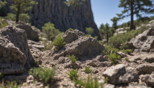 outdoors,sky,day,blurry,tree,blue sky,no humans,depth of field,blurry background,grass,plant,nature,scenery,forest,rock,landscape