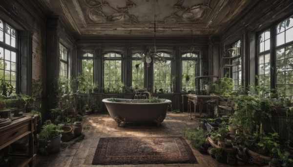 day,indoors,water,tree,no humans,window,chair,table,sunlight,plant,scenery,wooden floor,potted plant,vines,overgrown,chandelier