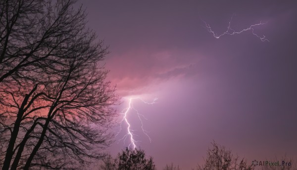 outdoors,sky,cloud,tree,no humans,cloudy sky,grass,nature,scenery,forest,electricity,purple theme,bare tree,lightning,purple sky,monochrome,sunset,twilight,gradient sky,pink sky