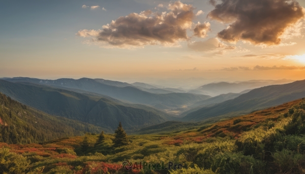 outdoors,sky,day,cloud,tree,blue sky,no humans,cloudy sky,grass,nature,scenery,forest,sunset,mountain,field,landscape,mountainous horizon,hill,signature,sunlight