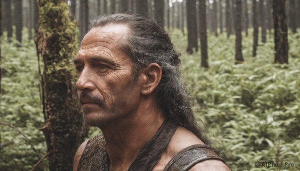 solo,long hair,black hair,1boy,closed mouth,closed eyes,upper body,grey hair,male focus,outdoors,armor,blurry,from side,tree,profile,blurry background,facial hair,plant,portrait,nature,beard,forest,realistic,mustache,old,old man,day,scar,manly