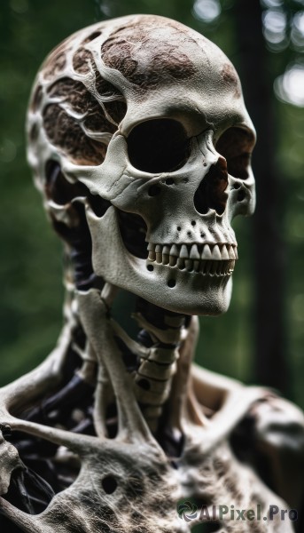 solo,1boy,upper body,male focus,blurry,no humans,depth of field,blurry background,portrait,1other,skull,realistic,ribs,skeleton,bone,teeth,horror (theme)