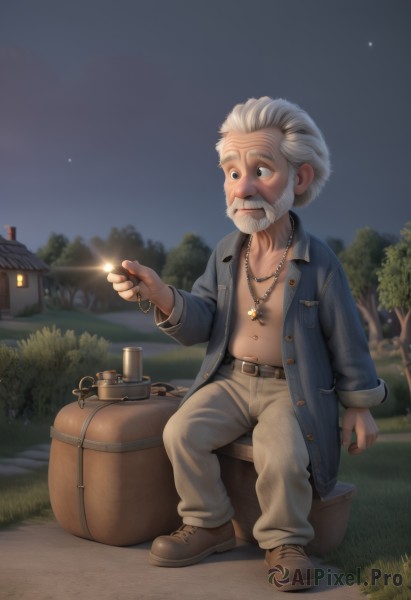 solo,1boy,navel,jewelry,sitting,jacket,full body,white hair,grey hair,male focus,outdoors,open clothes,sky,shoes,belt,pants,necklace,open jacket,tree,night,facial hair,brown footwear,grass,night sky,beard,mustache,house,old,coin,old man,barrel,crate,holding jewelry,long sleeves,holding,artist name,black eyes,watermark,thick eyebrows,denim,blue jacket,star (sky),web address,starry sky,jeans,realistic,fantasy,constellation,denim jacket