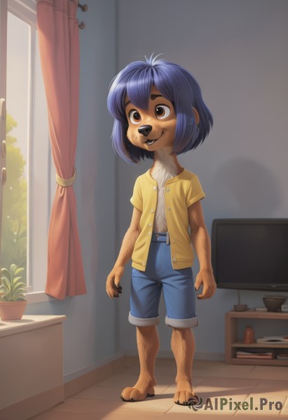 1girl,solo,smile,short hair,shirt,1boy,animal ears,brown eyes,blue hair,standing,full body,white shirt,short sleeves,male focus,shorts,barefoot,teeth,belt,indoors,window,plant,curtains,child,furry,blue shorts,yellow shirt,furry female,potted plant,furry male,male child,body fur,television,animal nose,bangs,collarbone,jacket,sidelocks,open clothes,day,artist name,flat chest,looking to the side,buttons,watermark,table,sunlight,bob cut,thick eyebrows,denim,claws,backlighting,freckles,denim shorts,arms at sides,shirt tucked in,controller,brown fur,two-tone fur,yellow fur,mouse (computer),animal feet