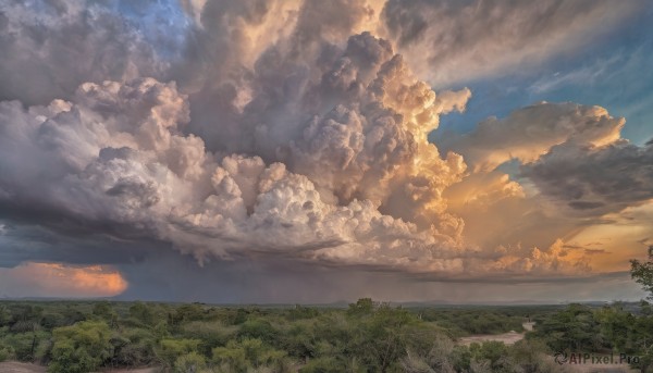 A vibrant landscape captured in sunset day