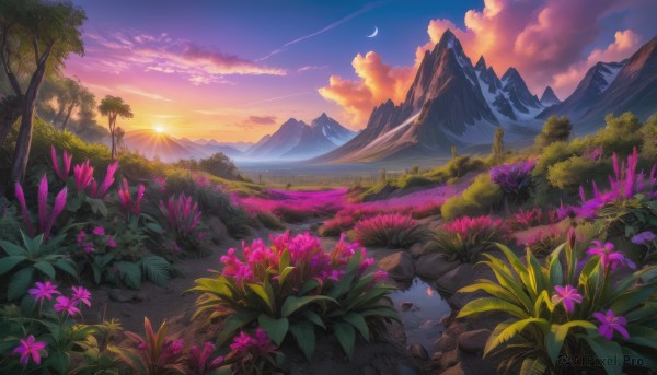 flower, outdoors, sky, cloud, water, tree, no humans, moon, grass, plant, nature, scenery, sunset, mountain, sun, crescent moon, landscape