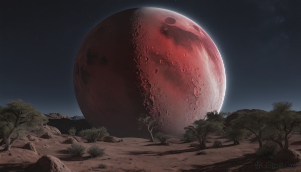 A captivating unique subject within outdoors