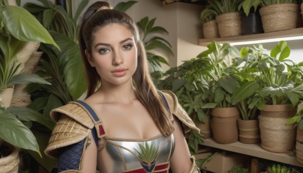 1girl,solo,long hair,breasts,looking at viewer,brown hair,cleavage,brown eyes,medium breasts,closed mouth,collarbone,upper body,ponytail,small breasts,indoors,armor,lips,high ponytail,plant,shoulder armor,pauldrons,breastplate,realistic,nose,potted plant,hair pulled back,leaf