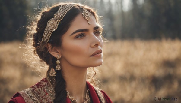 1girl,solo,long hair,brown hair,black hair,brown eyes,jewelry,braid,earrings,outdoors,parted lips,necklace,blurry,lips,looking to the side,single braid,depth of field,blurry background,looking away,red dress,tiara,portrait,realistic,nose,looking afar,hair ornament,artist name,eyelashes,chinese clothes,sunlight,gem