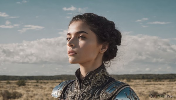 1girl,solo,short hair,black hair,brown eyes,jewelry,upper body,earrings,outdoors,parted lips,sky,day,cloud,hair bun,armor,blurry,black eyes,blue sky,lips,blurry background,looking away,portrait,realistic,nose,looking afar,field,updo,cloudy sky