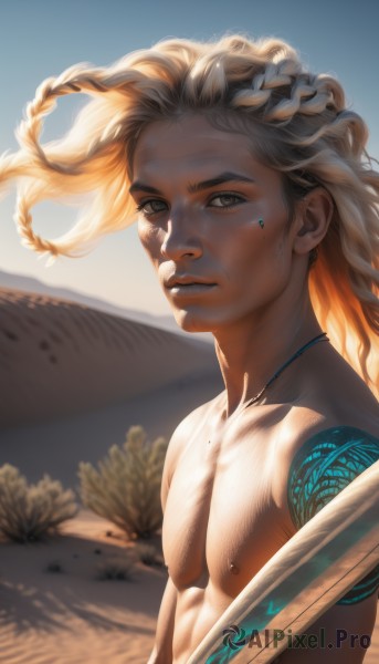 solo,long hair,looking at viewer,blonde hair,brown hair,1boy,brown eyes,jewelry,nipples,upper body,braid,male focus,multicolored hair,outdoors,parted lips,sky,day,artist name,dark skin,necklace,blurry,two-tone hair,lips,grey eyes,tattoo,muscular,floating hair,blurry background,facial mark,pectorals,wind,side braid,freckles,topless male,realistic,nose,sand,facial tattoo,cyborg,desert,multiple braids,from side,piercing,sunlight,thick eyebrows,backlighting