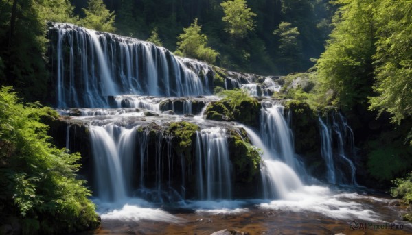 outdoors,day,water,tree,no humans,sunlight,plant,nature,scenery,forest,light rays,river,waterfall,moss,solo,leaf,rock,bush