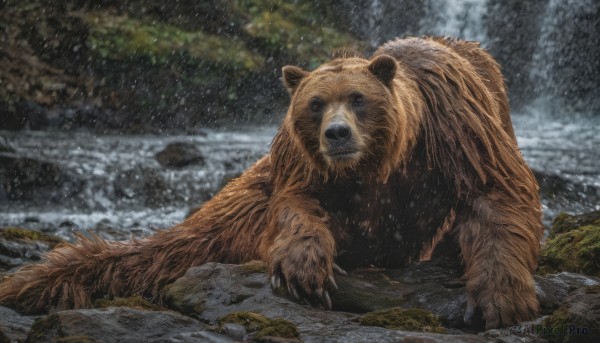 A unique subject showcased in a bold snowy outdoors