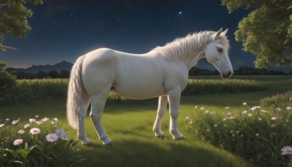 Image of a unique subject in a fresh outdoors