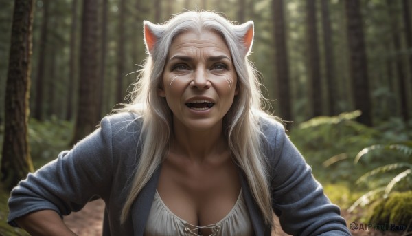 1girl,solo,long hair,breasts,looking at viewer,smile,open mouth,blue eyes,large breasts,shirt,animal ears,cleavage,collarbone,jacket,upper body,white hair,outdoors,teeth,cat ears,blurry,tree,depth of field,blurry background,fangs,parody,blue jacket,genderswap,nature,genderswap (mtf),forest,realistic,blonde hair,open clothes,day,artist name,leaning forward,scar,sunlight,sharp teeth,cat girl,wrinkled skin