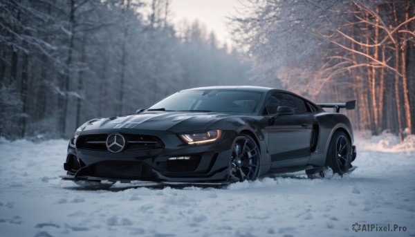 A motor vehicle surrounded by a lush snowy outdoors