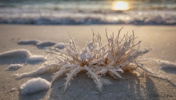 Image of a unique subject in a fresh outdoors