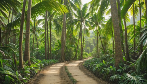 outdoors,sky,day,tree,no humans,shadow,leaf,beach,sunlight,plant,nature,scenery,forest,palm tree,bush,cloud,blue sky,traditional media,grass,road,path